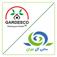 گاردسکو اینترنشنال آمریکا - ساعی گل تهران