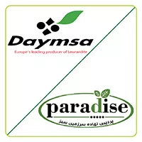 دایمسا - پردیس نهاده سرزمین سبز