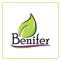 بنیفر