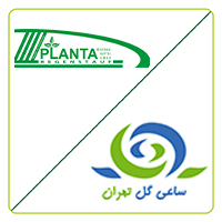 پلنتا - ساعی گل تهران